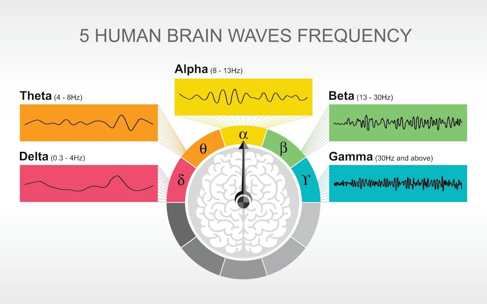 brain waves